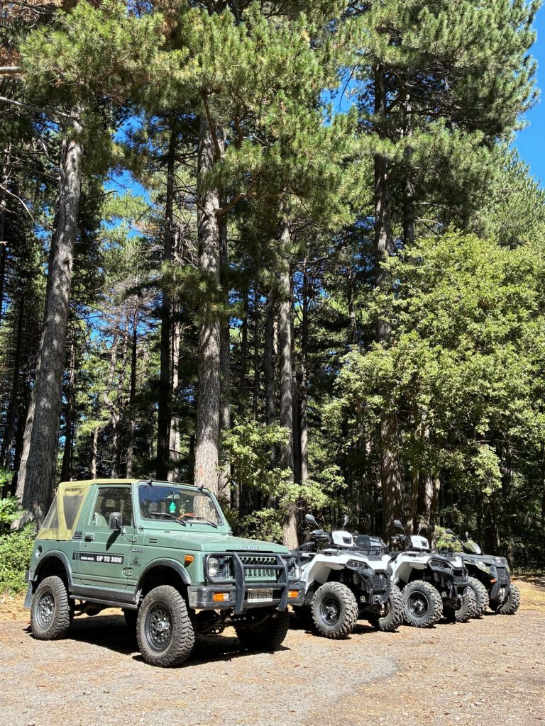 Escursioni in quad tra i boschi dei Nebrodi